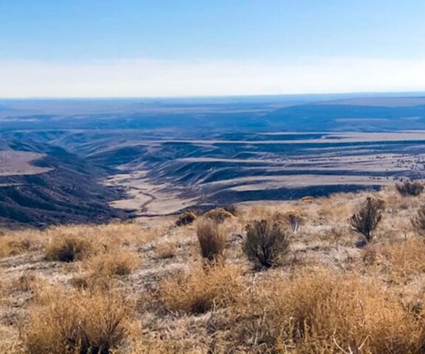 Twin Falls: Off the Beaten Path Guided Half-Day Tour – Box Canyon Springs Preserve, Idaho