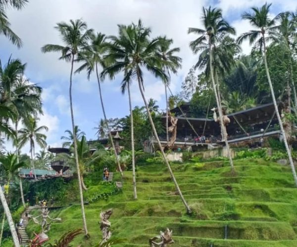 Bali Ubud : Full Day Private Tour – Bali, Indonesia