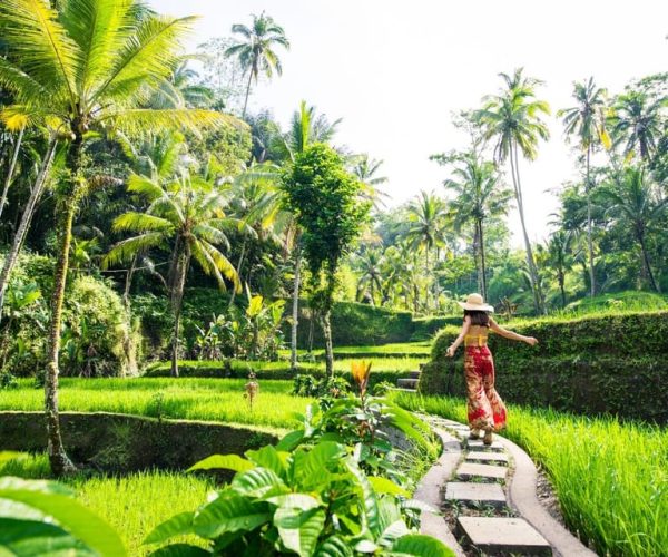 Ubud Highlights Private Day Tour – Bali, Indonesia