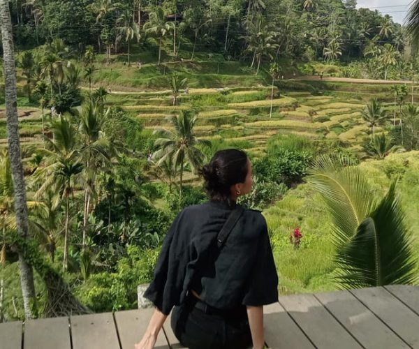 Ubud : Monkey forest, Temple and waterfall Private Tour – Bali, Indonesia