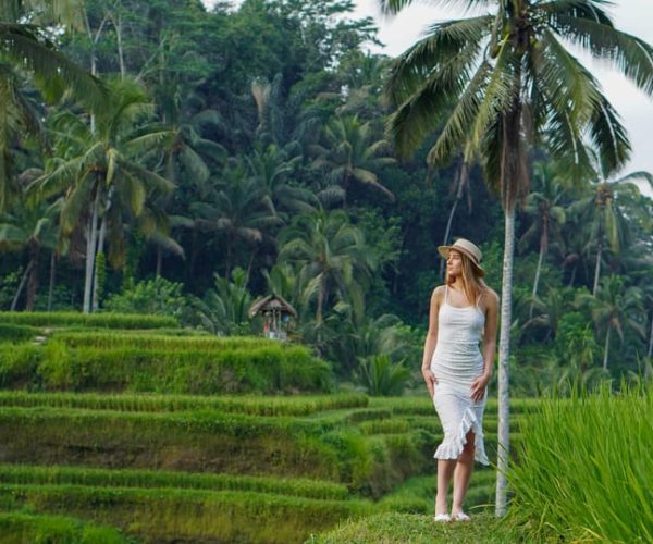 Ubud: Waterfalls, Rice Terrace and Swing with Photography – Bali, Indonesia