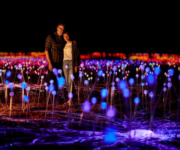 Uluru: Field of Light Sunrise Tour with Hot Drinks – Yulara, Australia