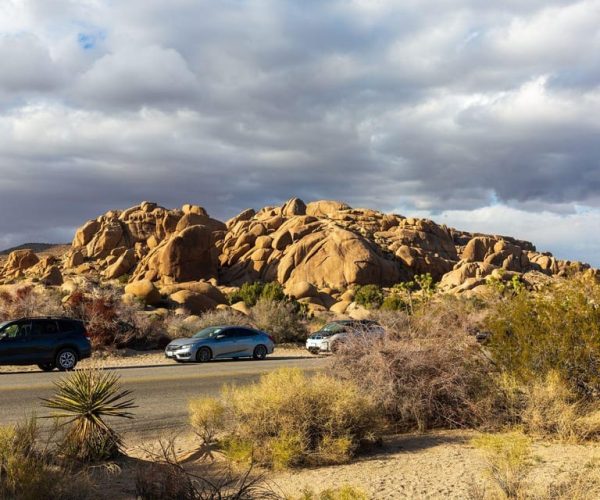 Unlock Joshua Tree’s Secrets with In-App Audio Tour – Joshua Tree National Park, California