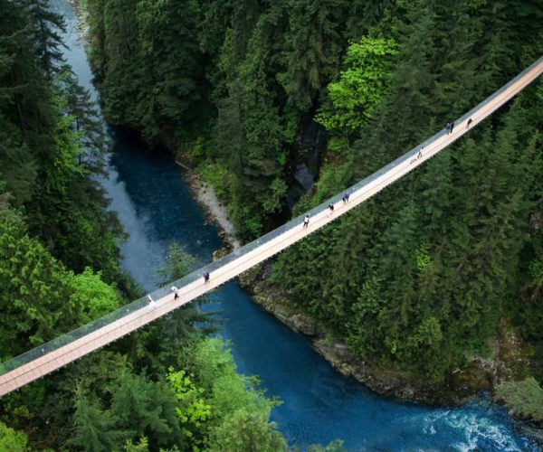 Vancouver: Capilano Suspension Bridge Park Ticket – British Columbia, Canada