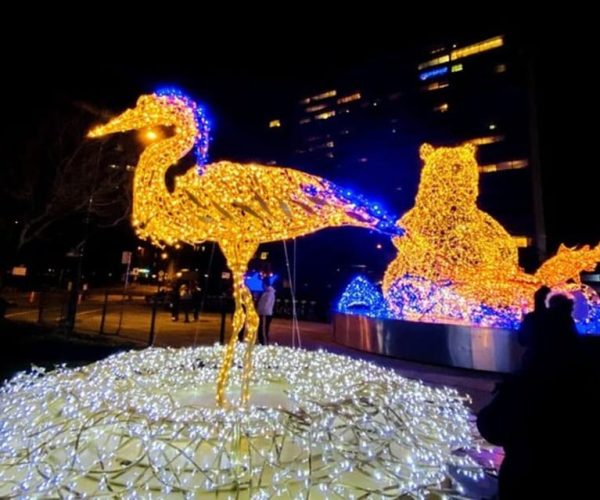 Vancouver Christmas Light Tour private – British Columbia, Canada