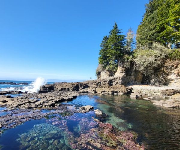 Vancouver Island: Glamping, Waterfall, Beaches and Hiking – Vancouver, Canada