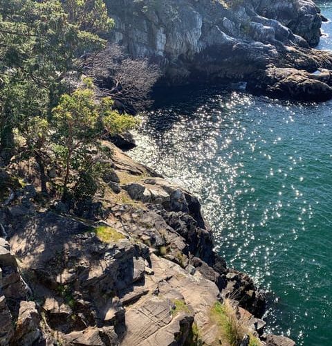 Vancouver: Lighthouse Park Hike – British Columbia, Canada