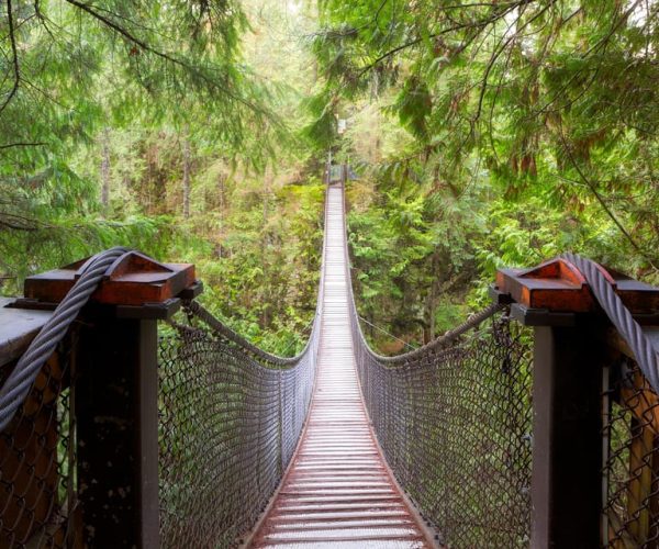 Vancouver: Lynn Valley Suspension Bridge & Nature Walk Tour – British Columbia, Canada