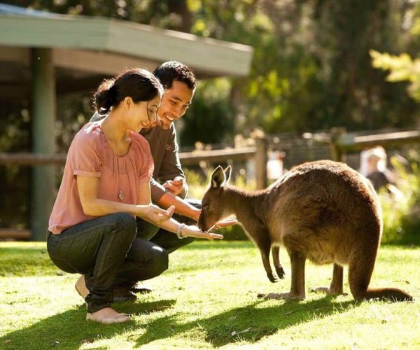 Very Best of Perth – Wildlife Park & City Highlights Tour – Western Australia, Australia