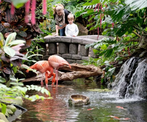 Victoria: Butterfly Gardens Admission Ticket – British Columbia, Canada