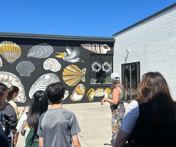 Virginia Beach: ViBe District Guided Walking Mural Tour – Virginia Beach, Virginia