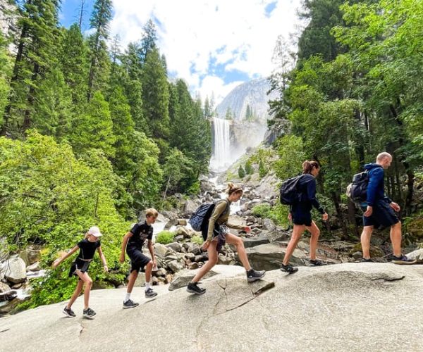 Waterfalls of Yosemite: Customizable Private Tour – California, California