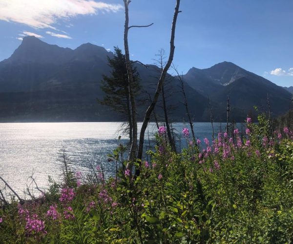 Waterton Lakes National Park: Bertha Lake Hike – Alberta, Canada