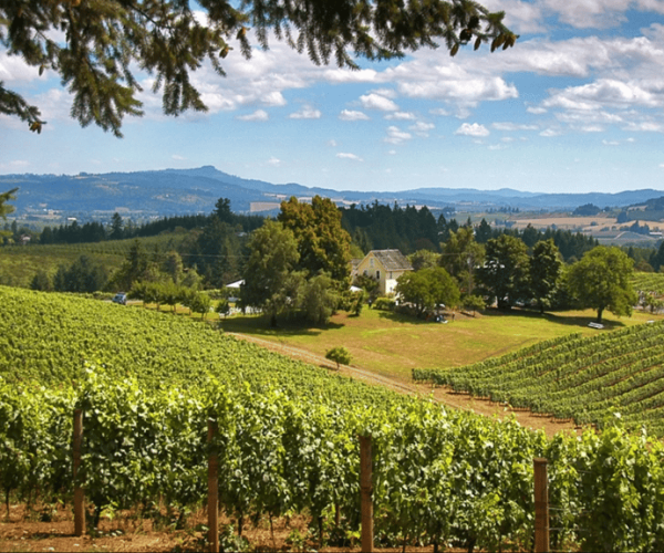 Willamette Valley Wine Tour: A journey for the senses – Portland, Oregon