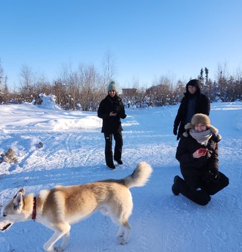 Yellowknife: Dog Sledding Tour – Yellowknife, Canada