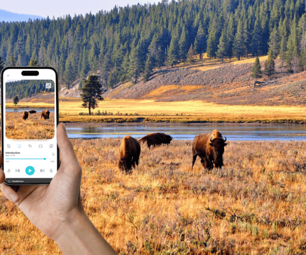 Yellowstone: Self-Driving Audio Tour From West Entrance (EN) – Hayden Valley, Wyoming