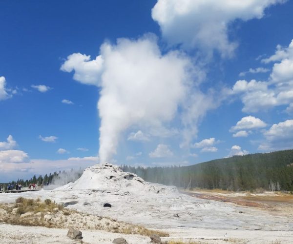 Yellowstone: Upper Geyser Basin Guided and Audio Tour – Daisy Geyser, Wyoming