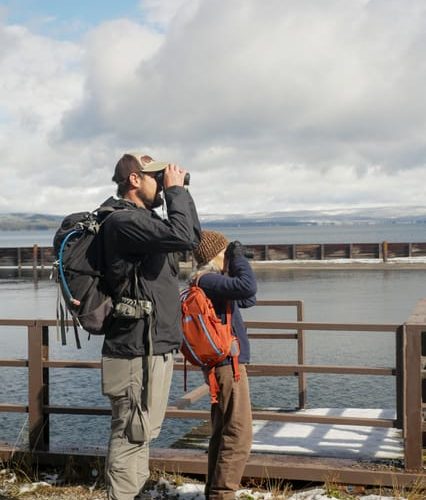 Yellowstone: Winter Wildlife & Snowshoe Adventure – Mammoth Hot Springs, Wyoming