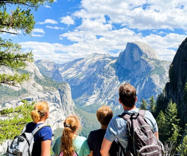 Yosemite Family Explorers: Customizable Private Tour – California, California