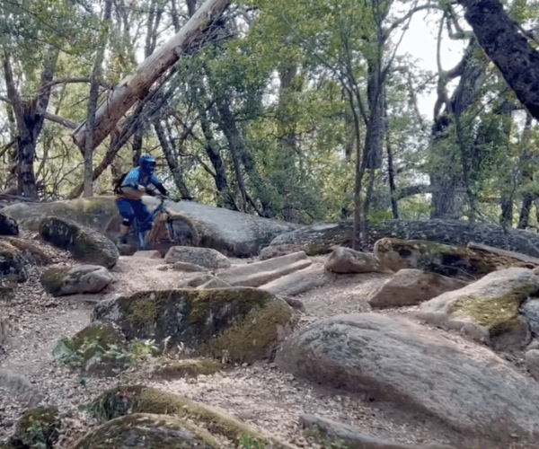 Yosemite Valley: KHS Hardtail Mountain Bike Rental – California, California