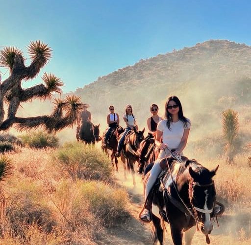 Yucca Valley: Joshua Tree National Park Horseback Ride – California, California