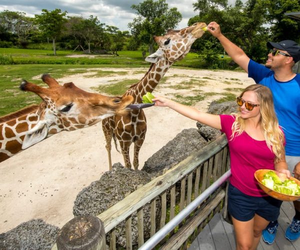 Zoo Miami: General Admission Ticket – Miami, Florida