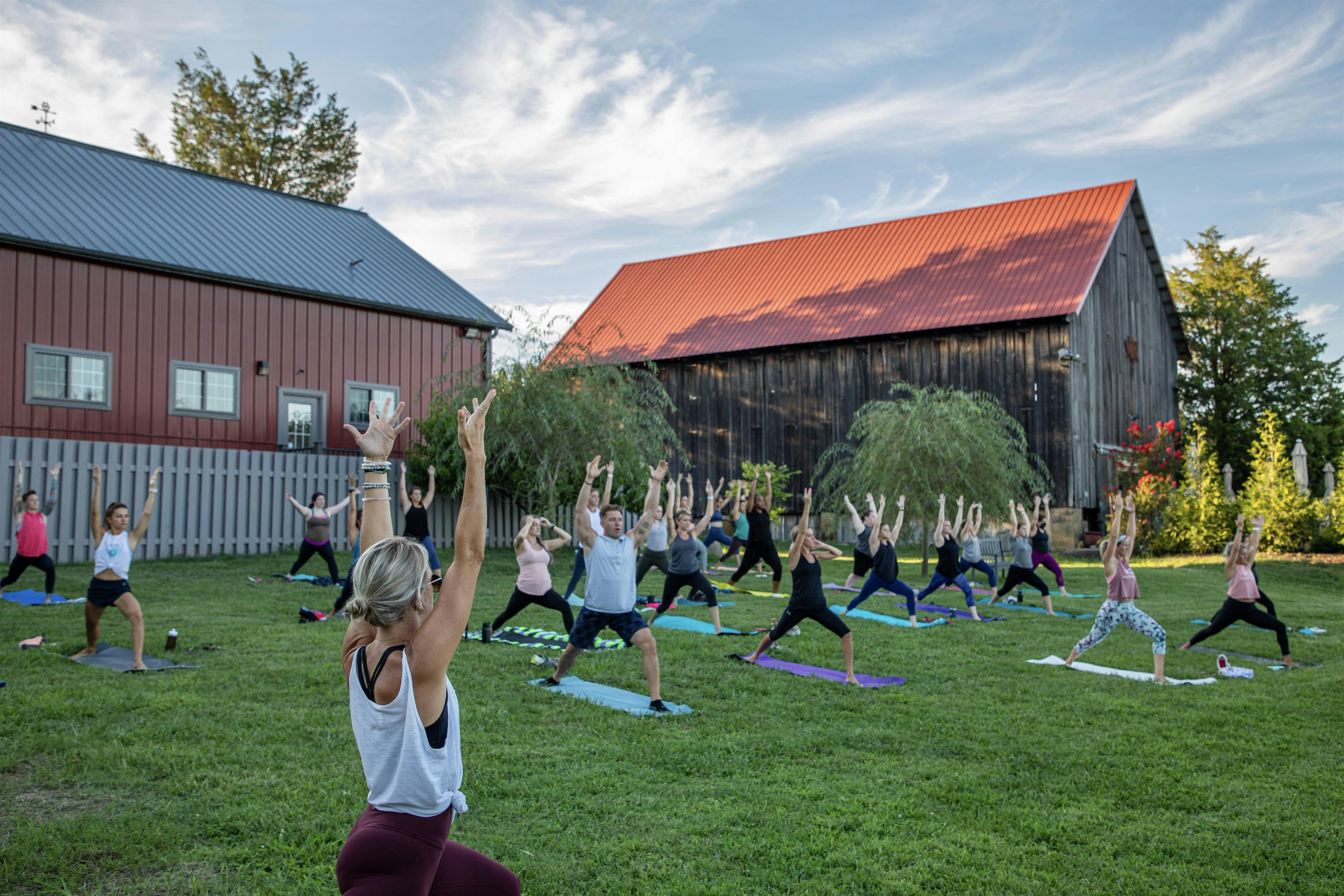 Vino & Vinyasa with Lindsay Cook at Great Frogs Winery – Annapolis, MD