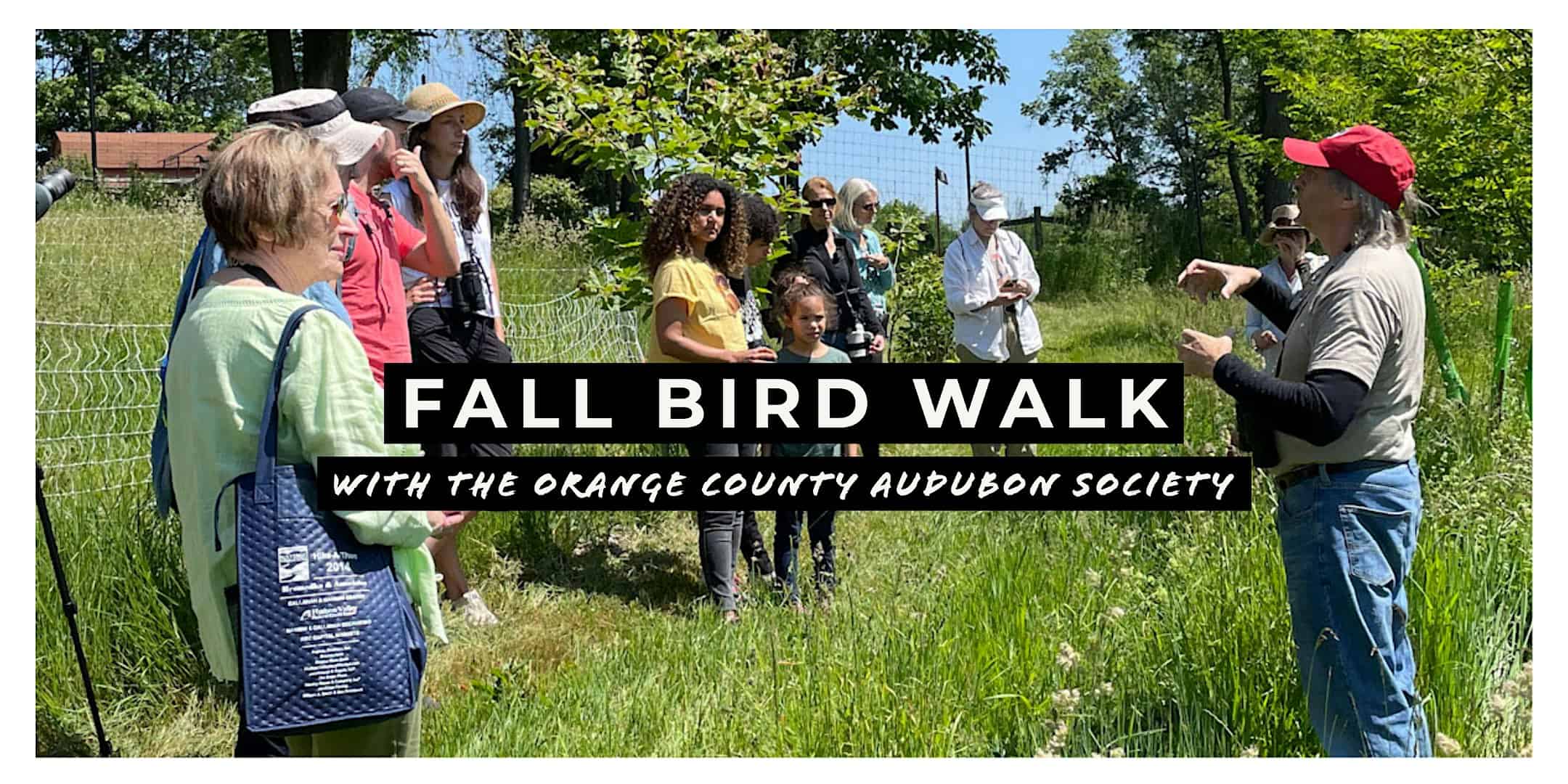 Fall Bird Walk (FREE!) – Goshen, NY