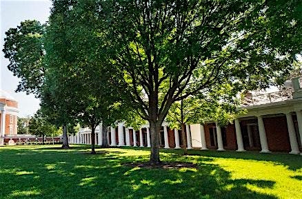 UVA Guided Tree Walk – Charlottesville, VA