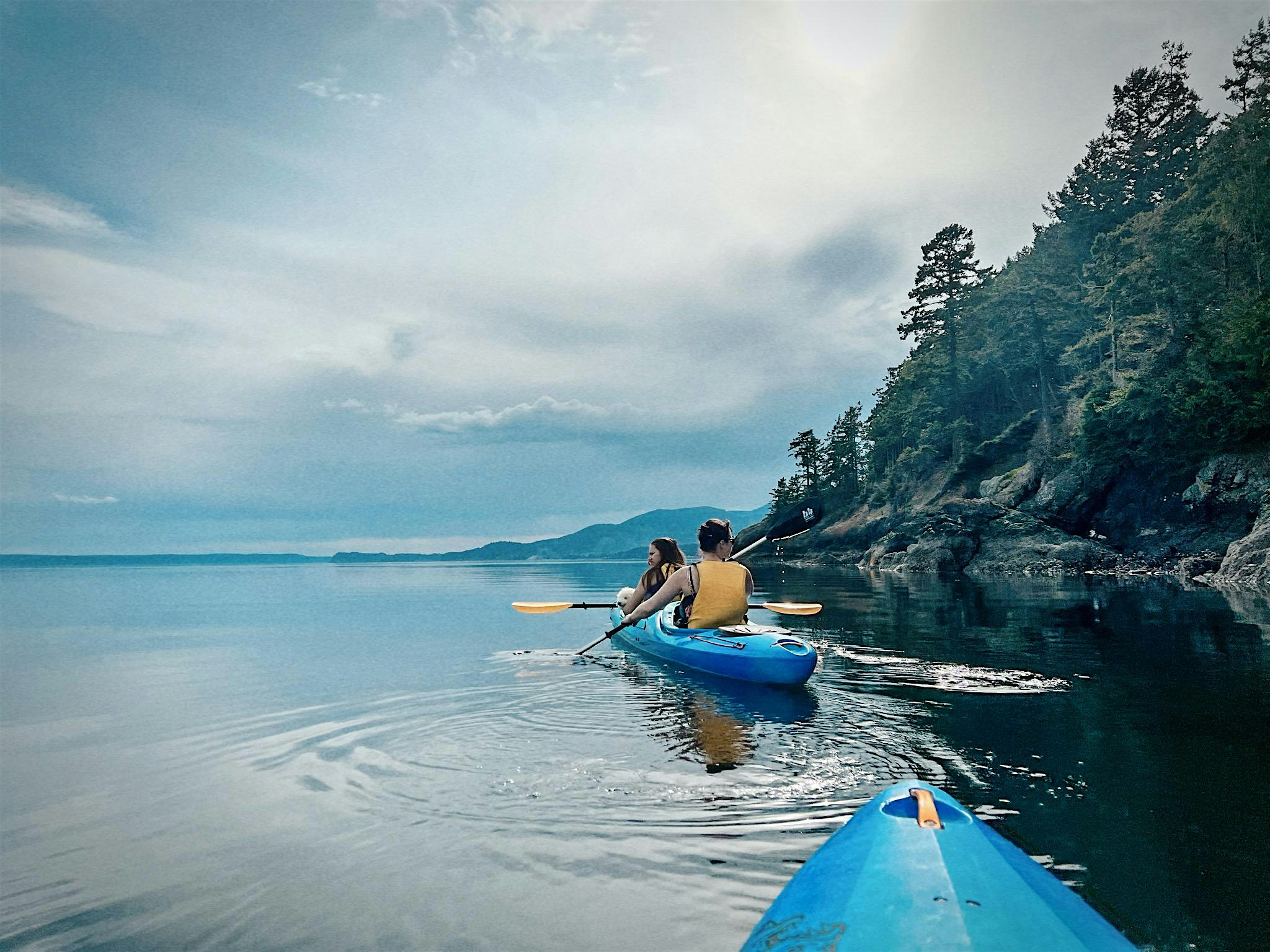 Half Day Hood Canal Kayaking Tour – Swimming & Lunch! – Brinnon, WA