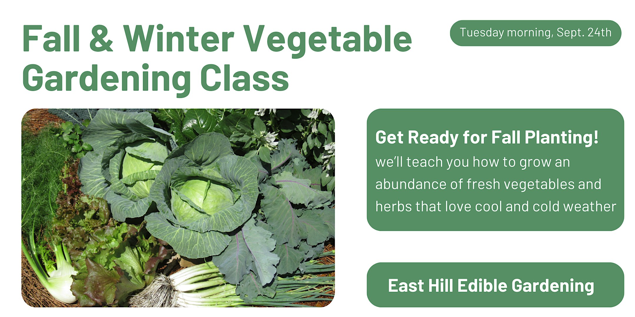 Fall & Winter Vegetable Gardening, Tuesday morning – Pensacola, FL