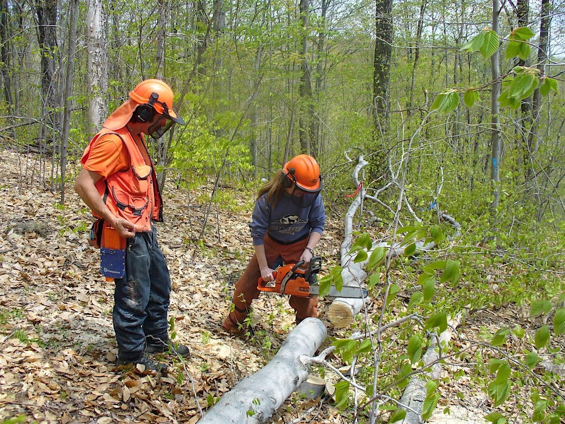 Basic Chainsaw Use & Safety for Beginners, September 24, 2024 – Lincoln, VT