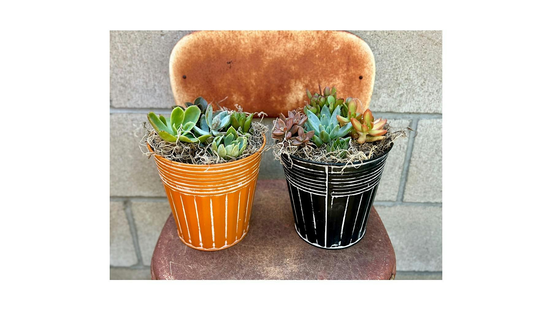 Wine Me Up Fall Themed Succulent Workshop – Bakersfield, CA