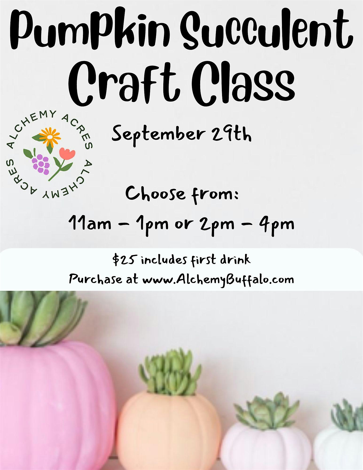 Pumpkin Succulent Craft – Hamburg, NY