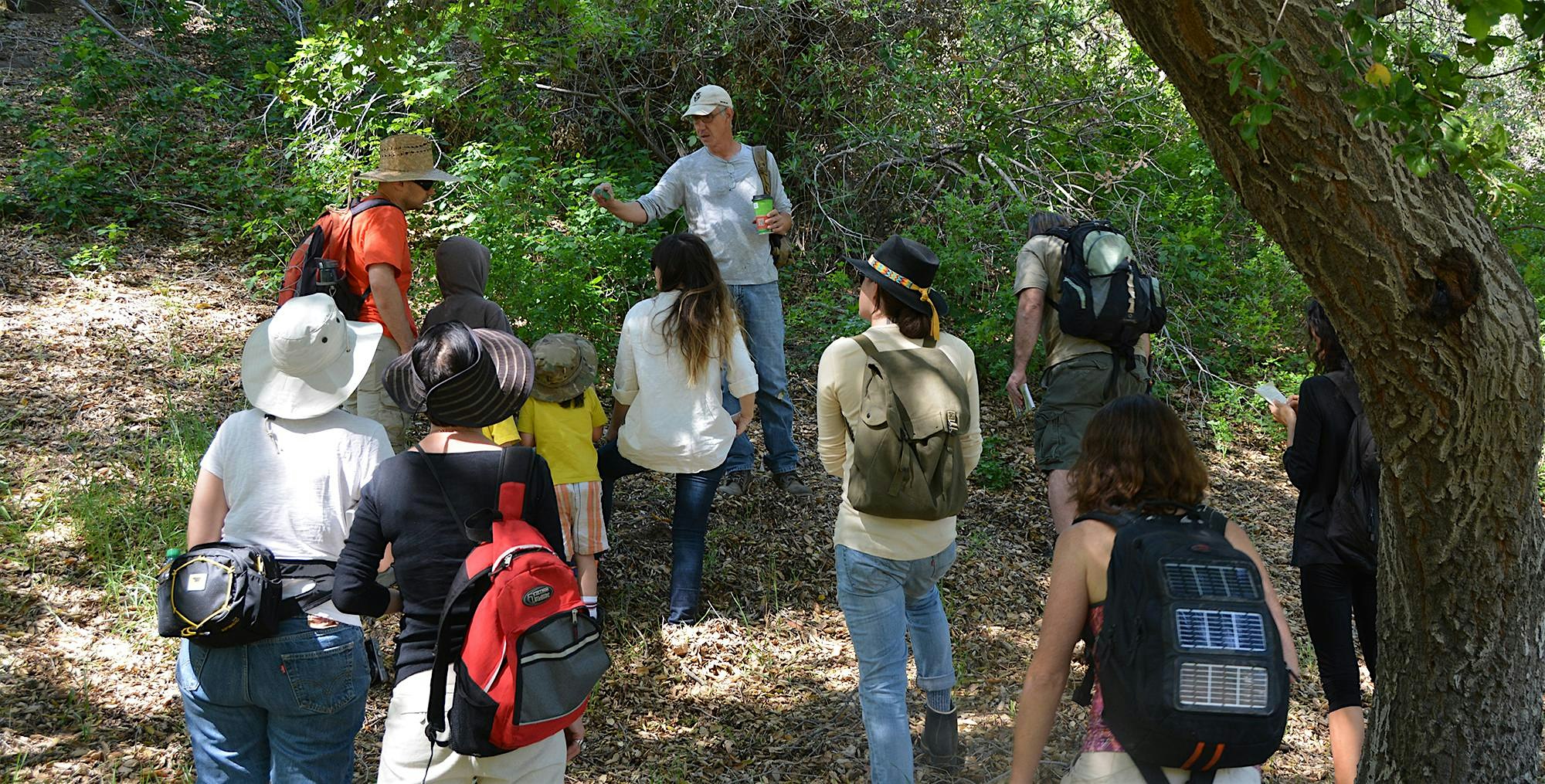 Purchase Eco-Friendly Foraging - Plants Walk / Wild Food Tasting & Drinks Tickets: Don't miss this upcoming 2024 Local Event in Sylmar