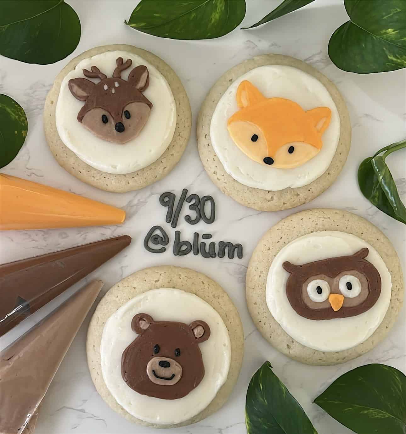 Cookie Decorating at Blum – Charleston, SC