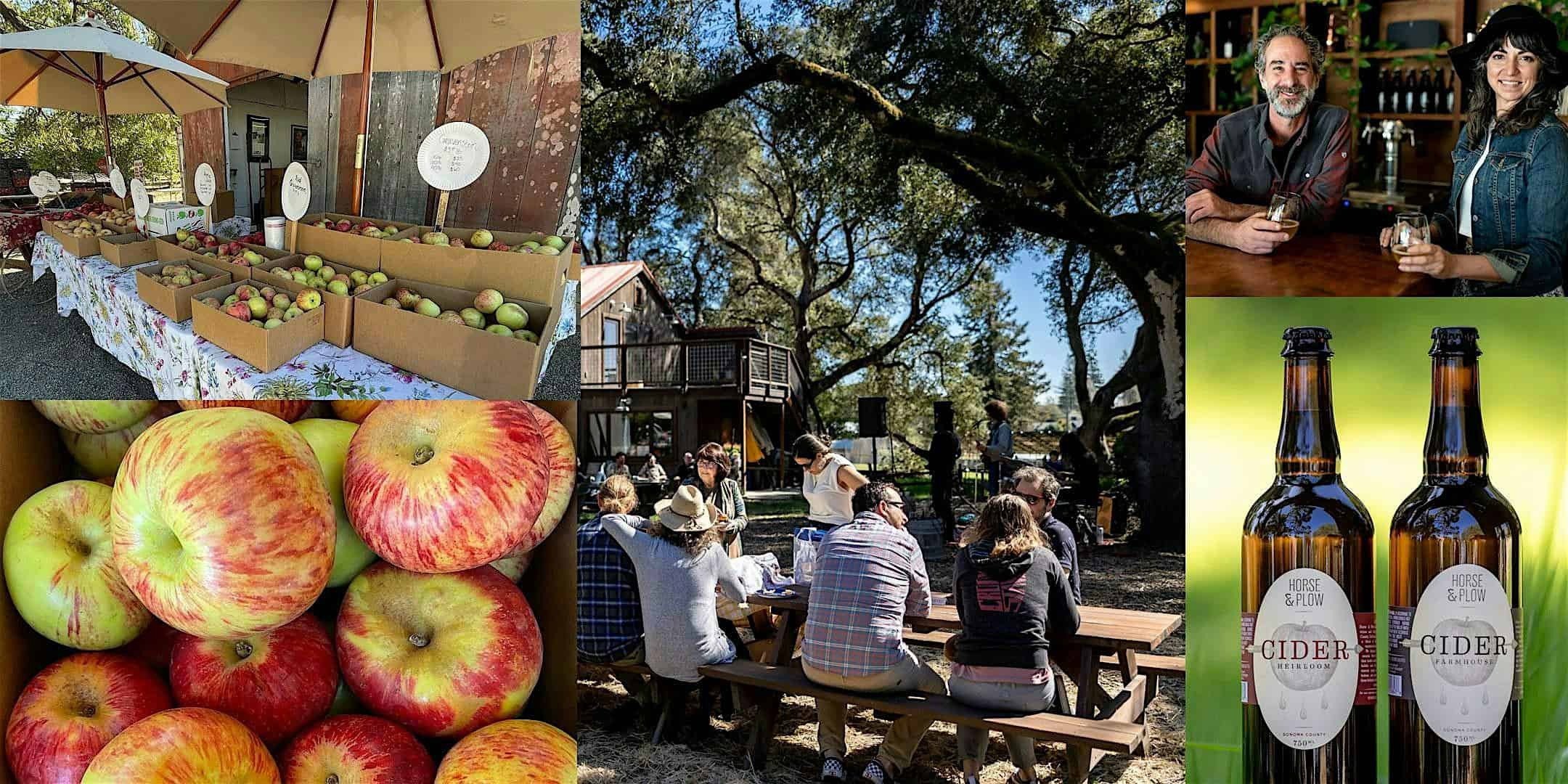 Enjoy a Tour of Hale’s Apple Farm and Hard Cider Tasting at Horse & Plow – Sebastopol, CA