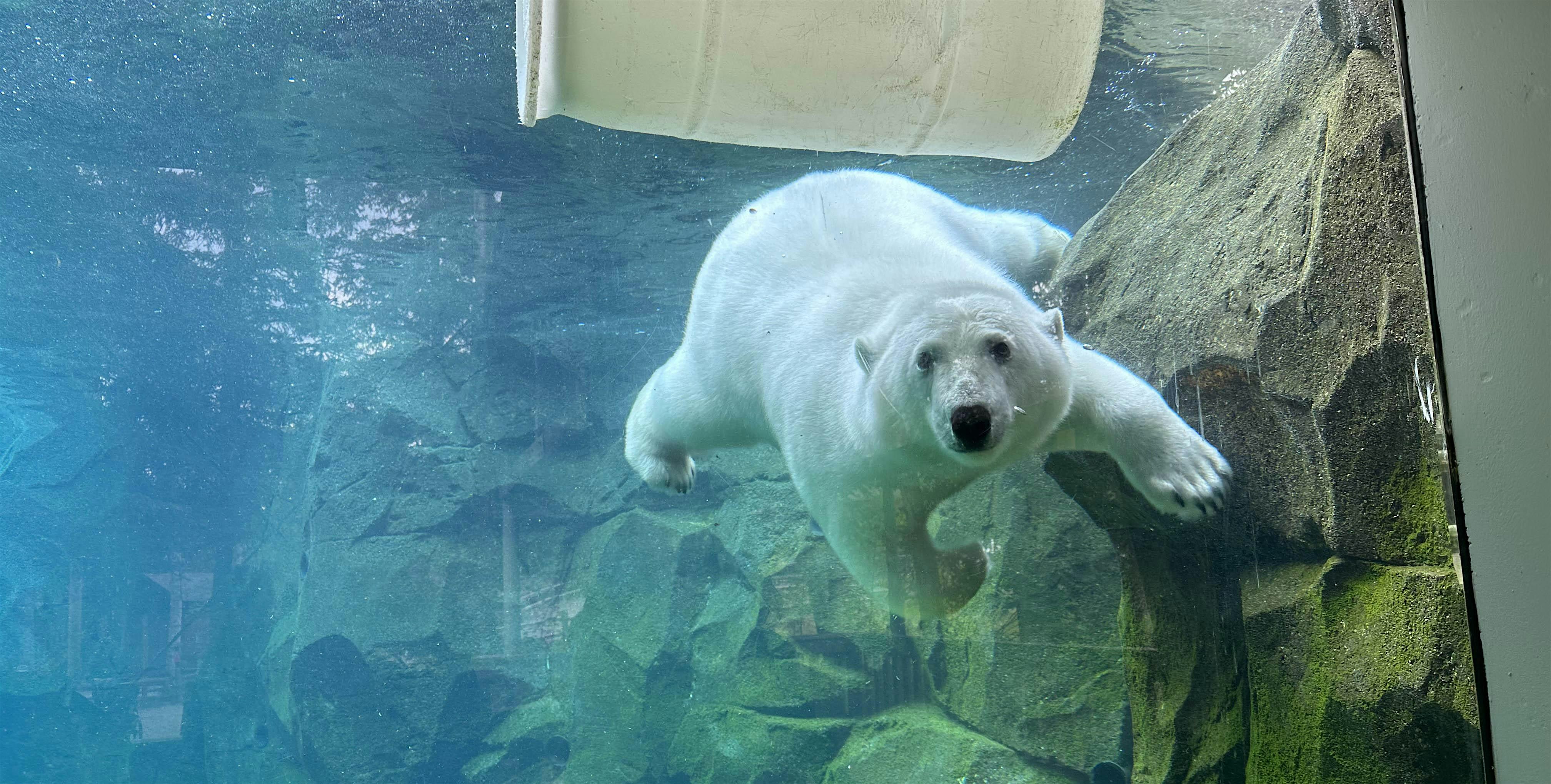 Zoo Admission, October through December 2024 – Anchorage, AK