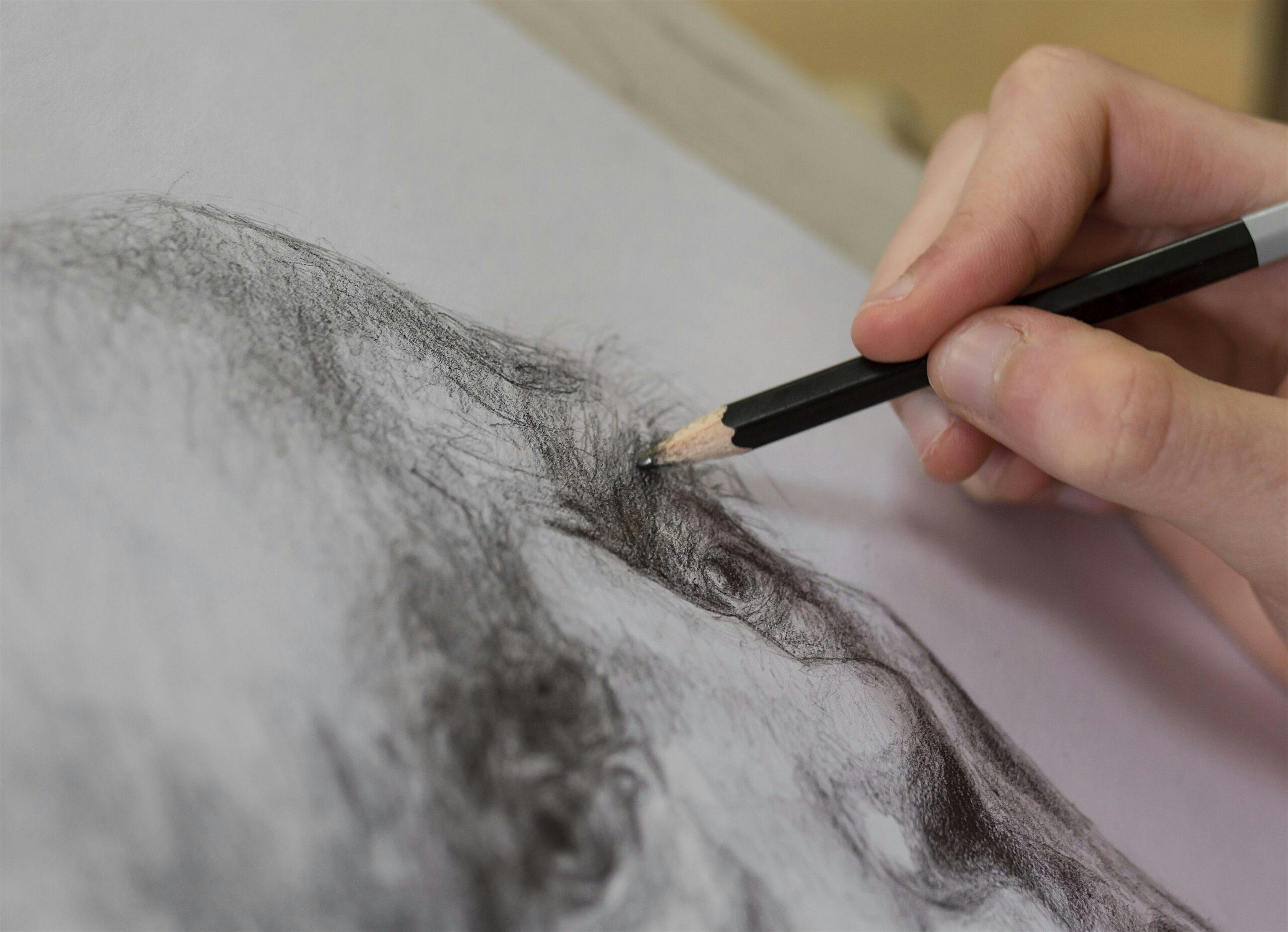 *FULL COURSE* ADULT DRAWING FUNDAMENTALS – Santa Monica, CA