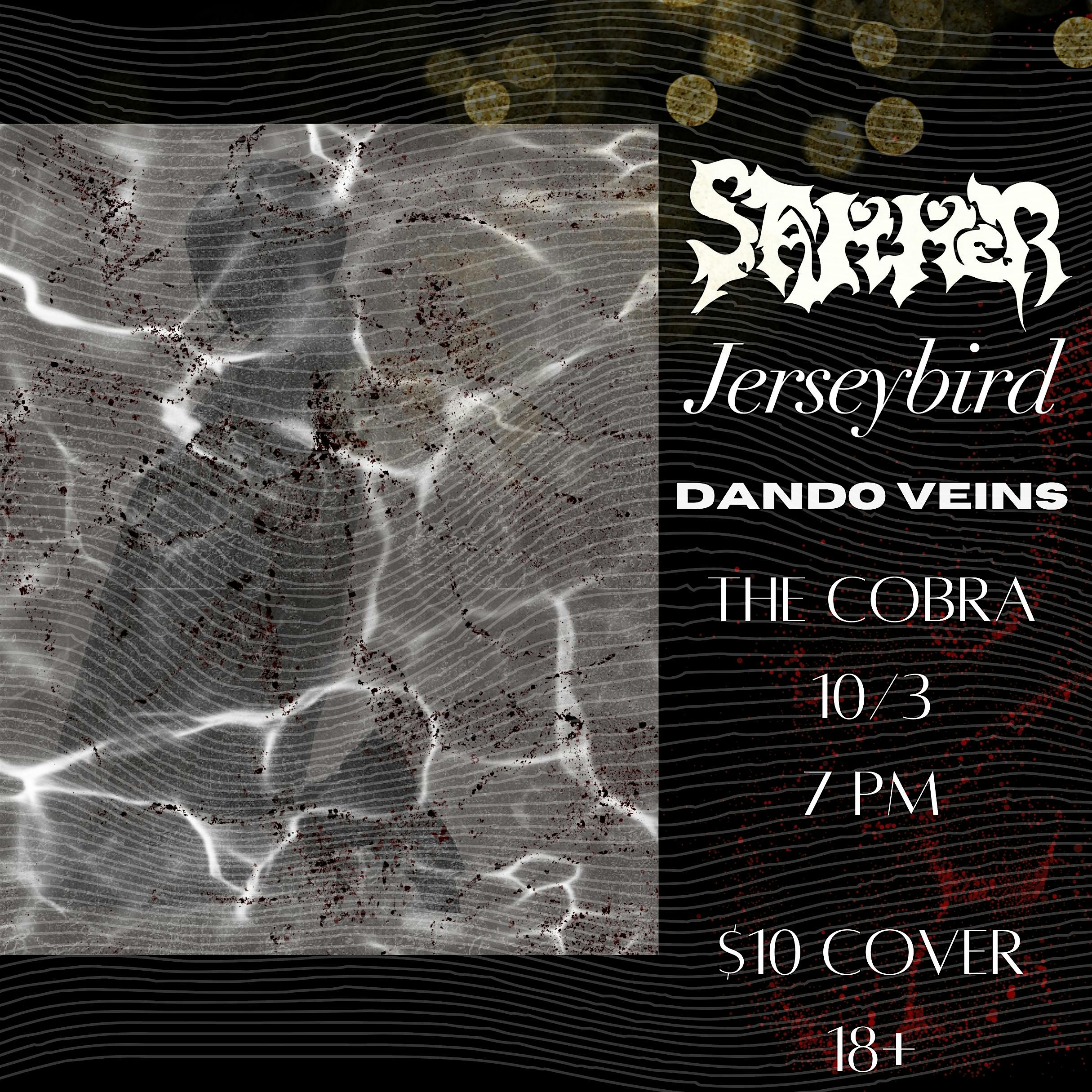 Stammer | Jerseybird | Dando Veins – Nashville, TN