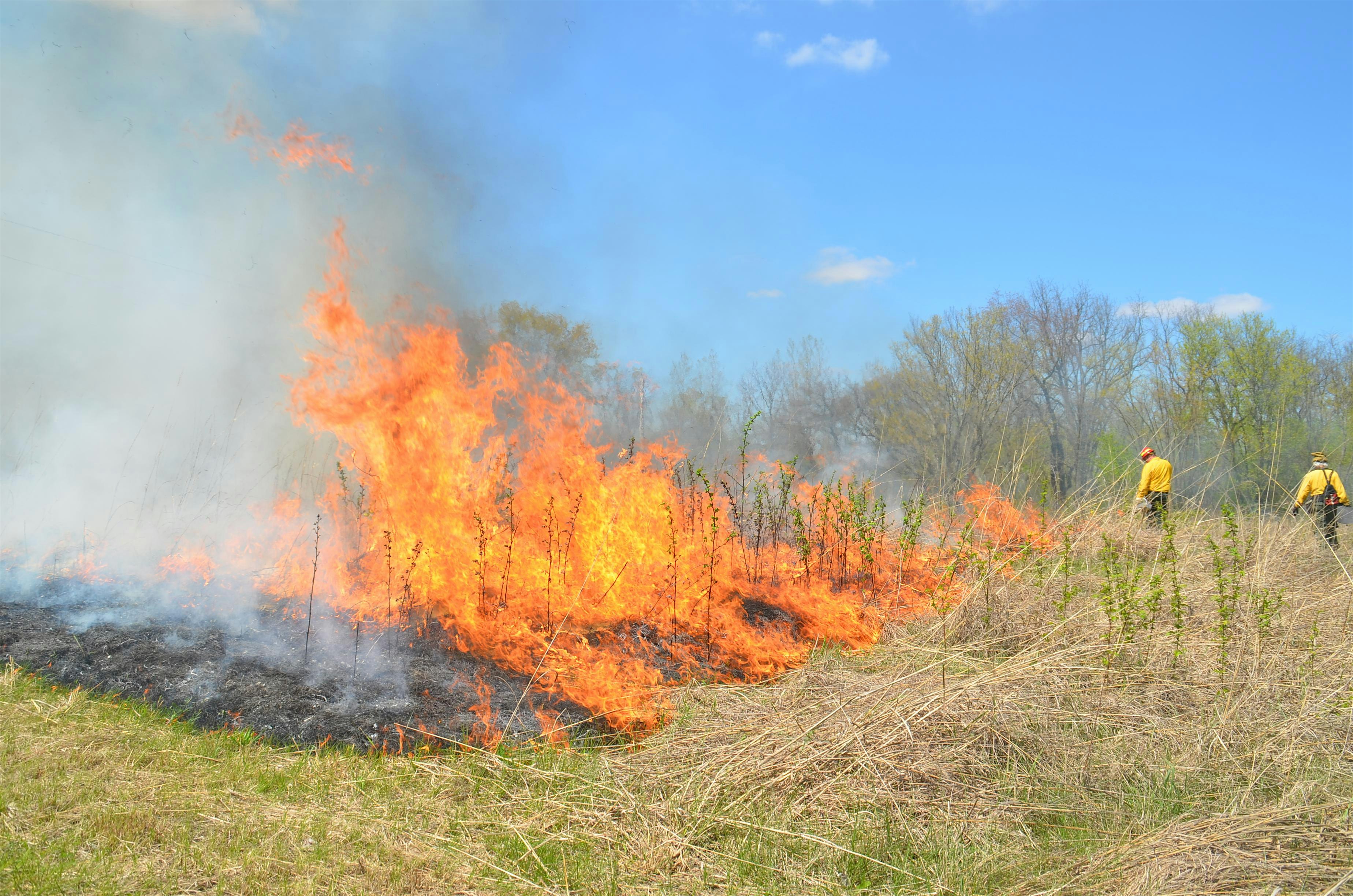 Getting Prescribed Fire Experience – Ashley, OH