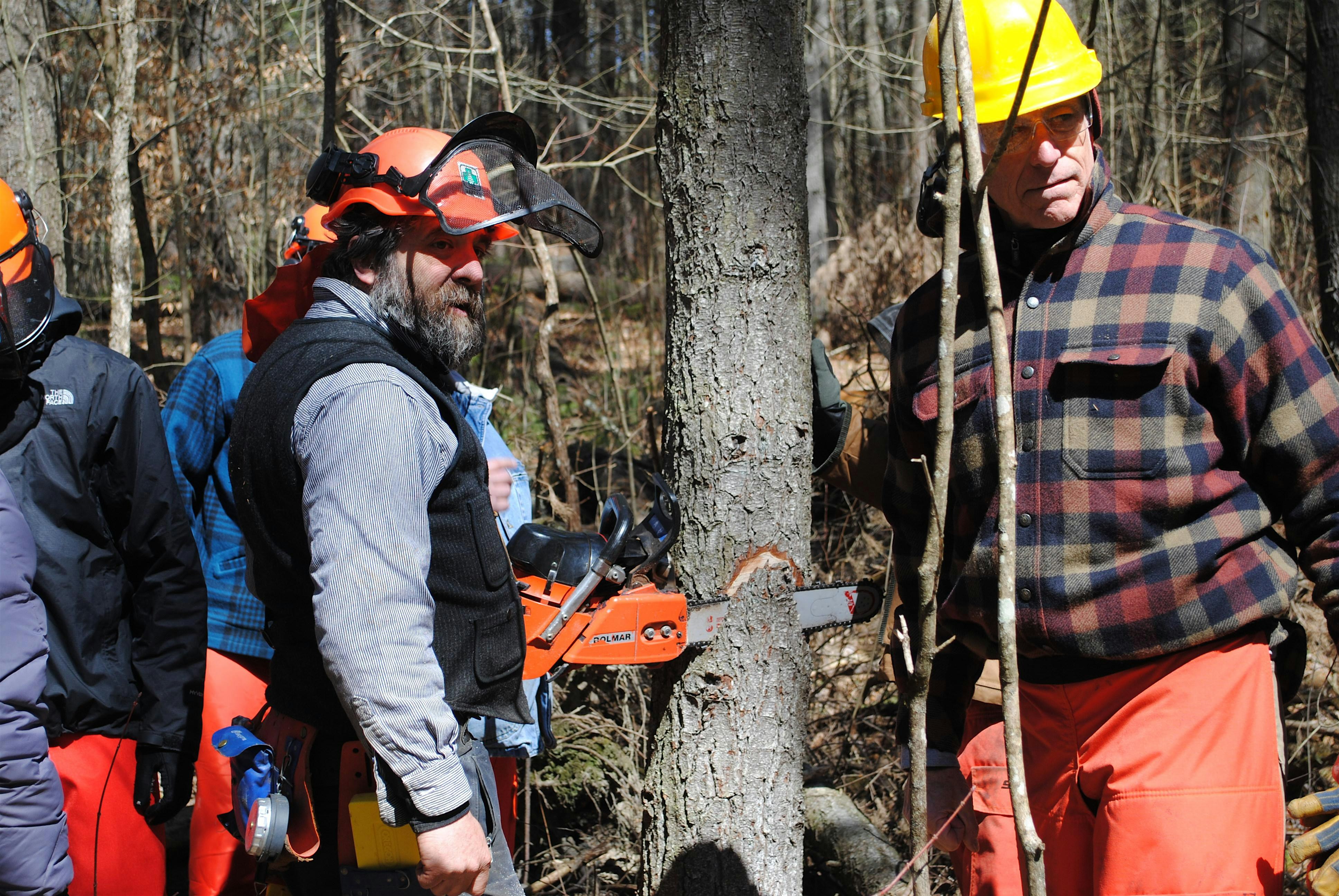 LEVEL 3 of Game of Logging Chainsaw Training, October 3, 2024 – Lincoln, VT