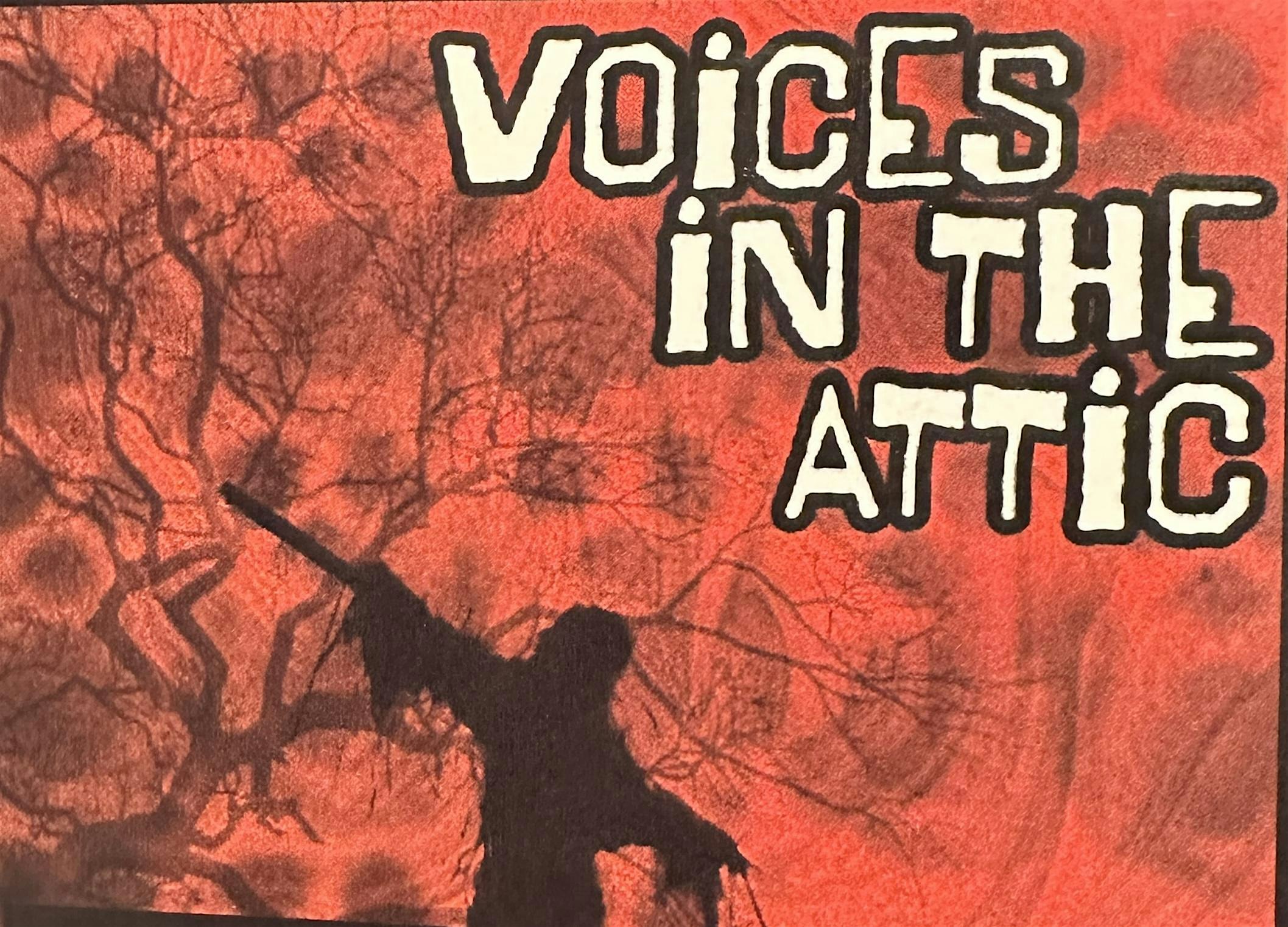 Voices In The Attic – North Tonawanda, NY