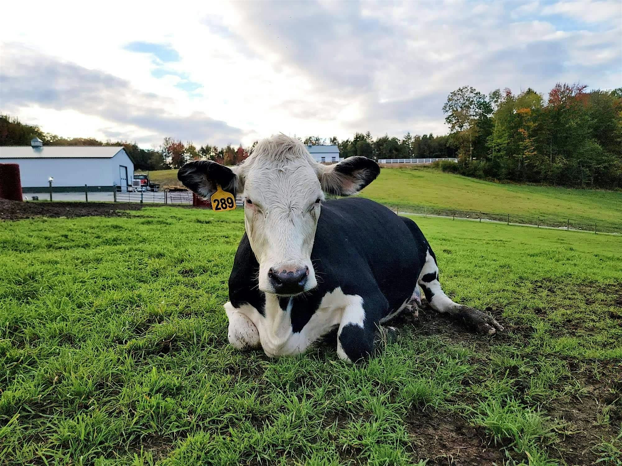 Fall Farm to Table Dinner & Campfire – New Ipswich, NH