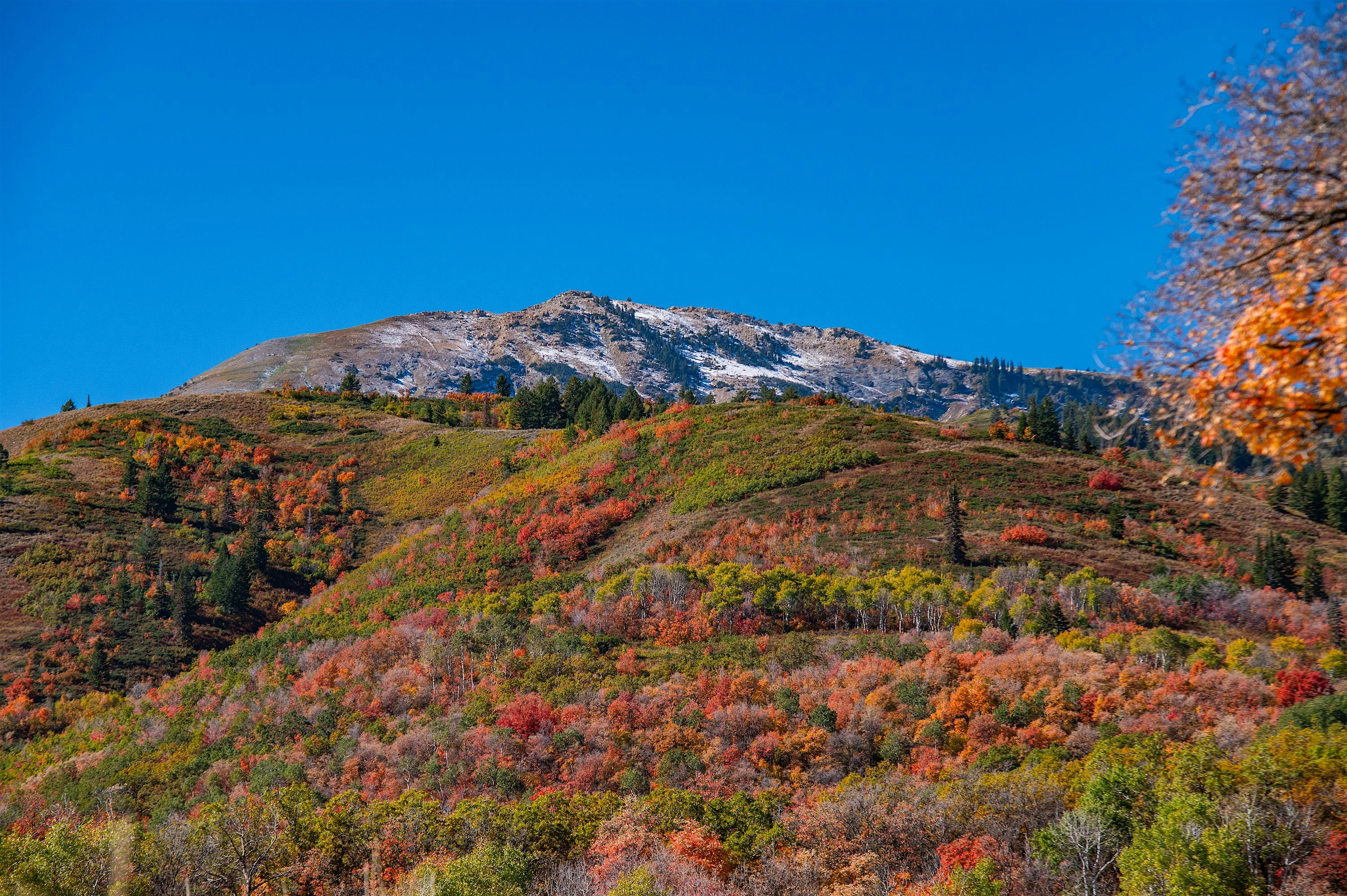 The NUT – Northern Utah Trailfest Activities – Eden, UT