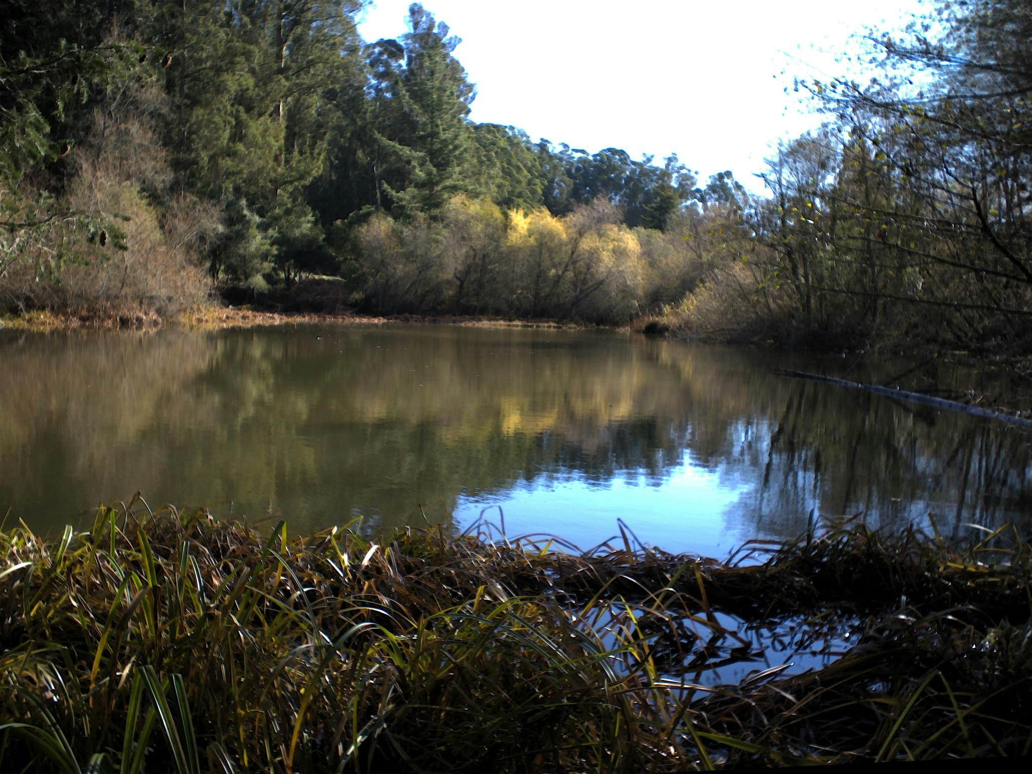 Tilden Park: Jewel Lake to Wildcat Peak – Berkeley, CA