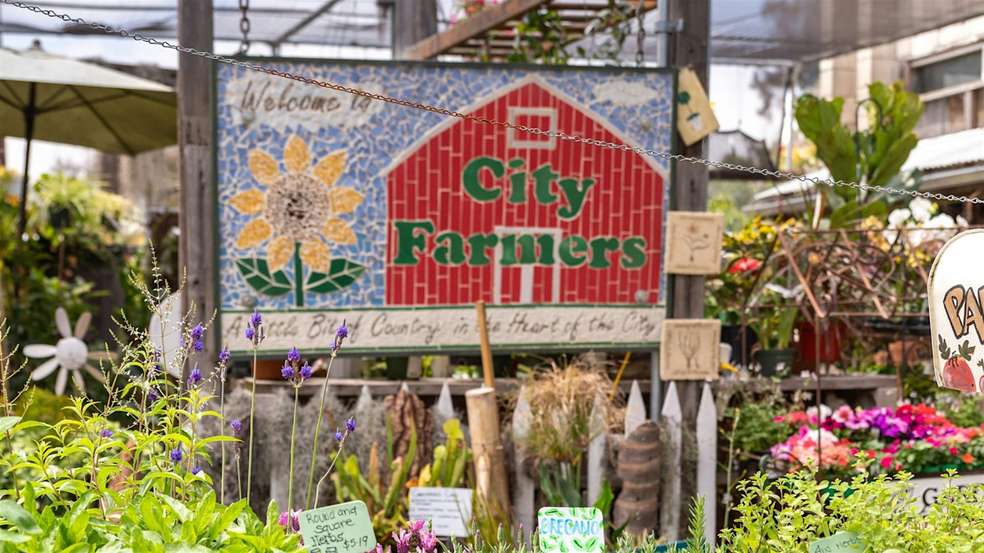 Edible San Diego’s Fall Garden Party at City Farmers Nursery – San Diego, CA