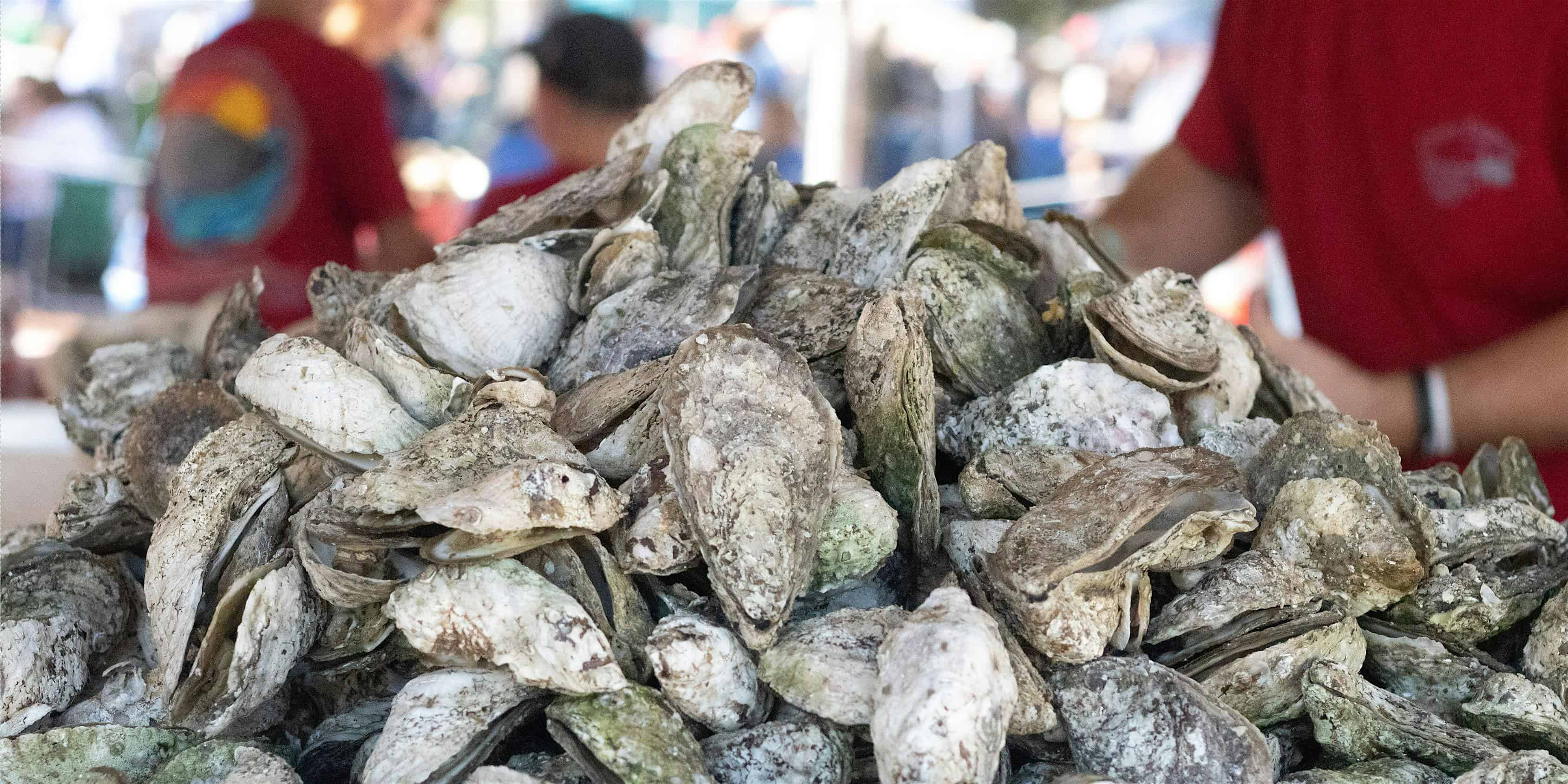 2024 Chincoteague Oyster Festival – Chincoteague Island, VA