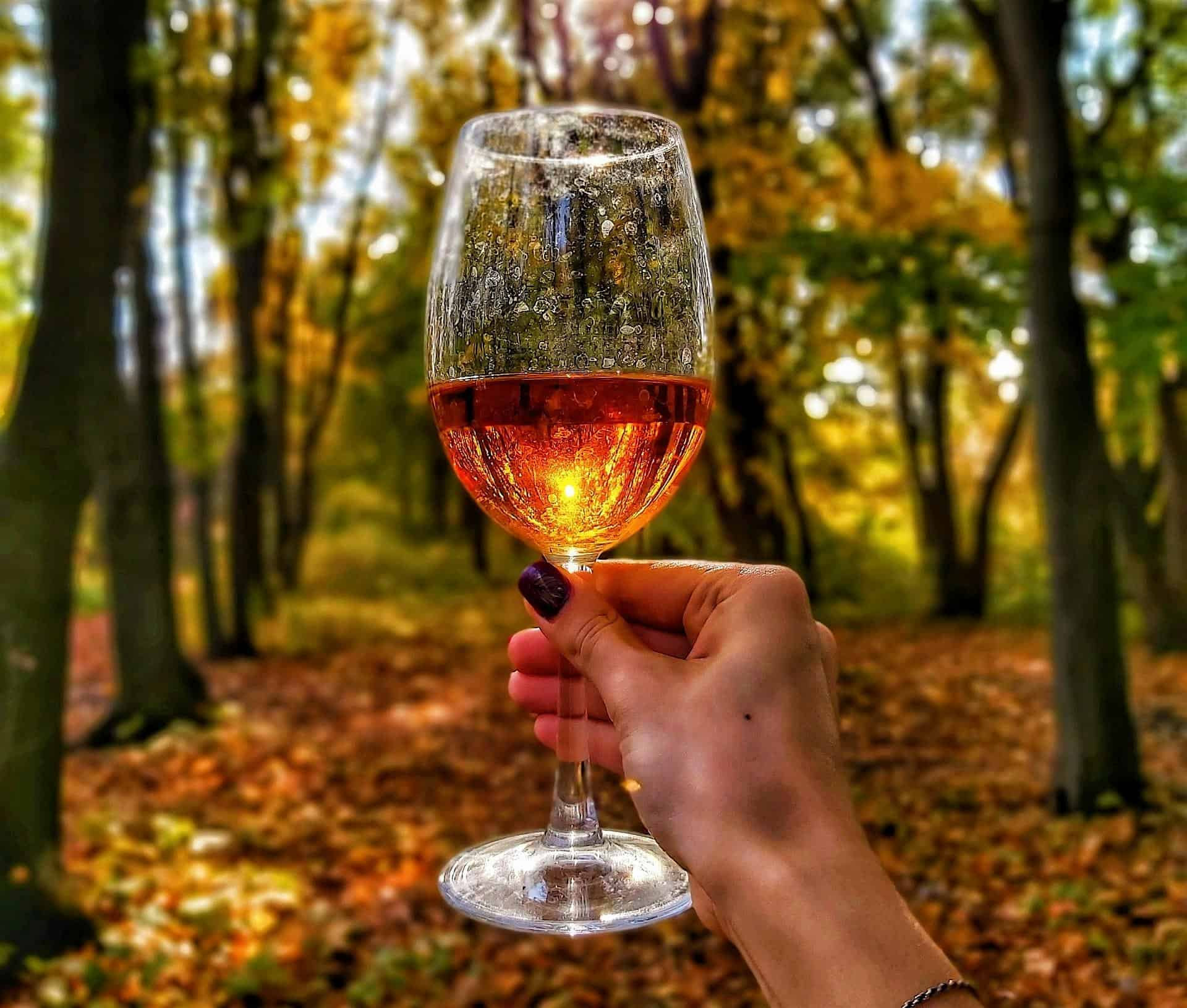 Wine or Treat Tour – Cambridge, OH