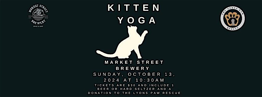 Kitten Yoga – Havre de Grace, MD